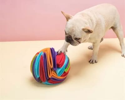 PELOTA OLFATEO ARCOIRIS 20 CM DM20211