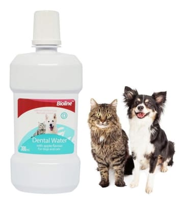 DENTAL WATER 21411