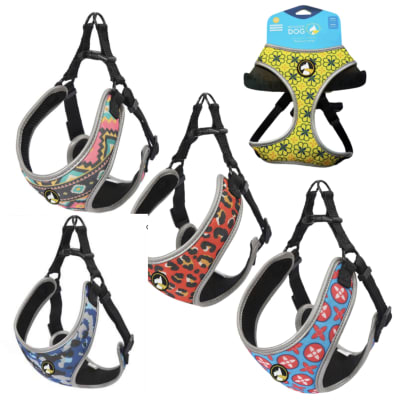 ARNES WONDER AMY XS YX-C-XS