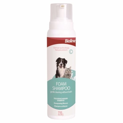 SHAMPOO ESPUMA SECA 2021