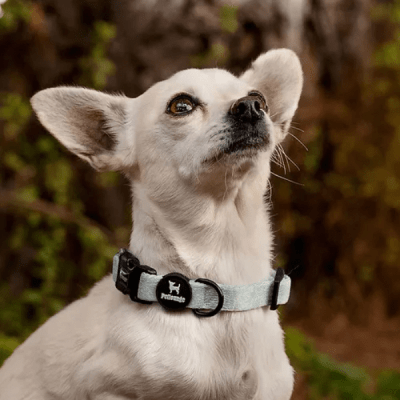 COLLAR AQUA LEAVES XS/S - PETLOUNGE1