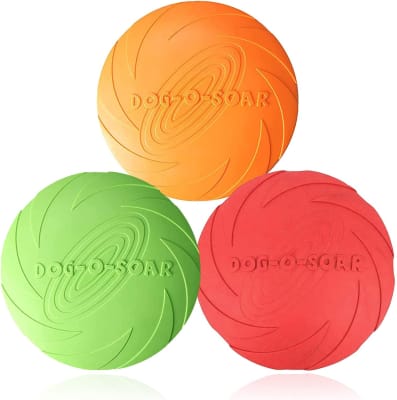 FRISBEE18 CM ER038