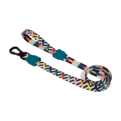 FRITZ LEASH SMALL