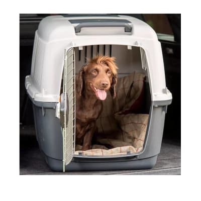 TRANSPORTADORA BRACCO TRAVEL 5 10.215