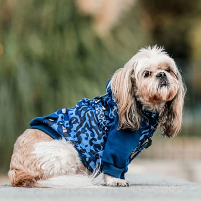 HOODIE BLUE LEOPARD  TALLA 2