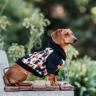 HOODIE CLASSIC LEOPARD TALLA 0