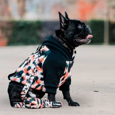 HOODIE CLASSIC LEOPARD TALLA 35