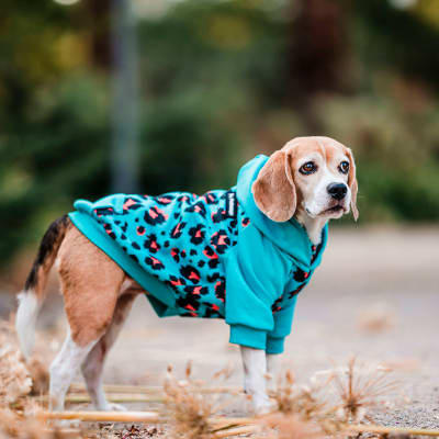 HOODIE MINT LEOPARD TALLA 33