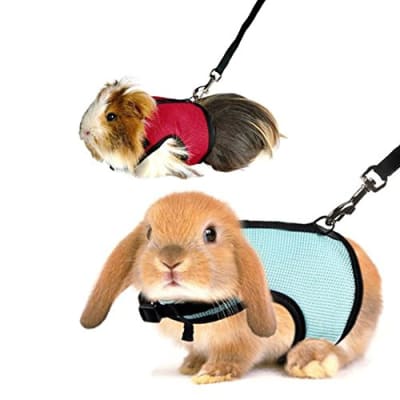 ARNES COBAYO O CONEJO RZ PEQUEÑAS SP001-L1