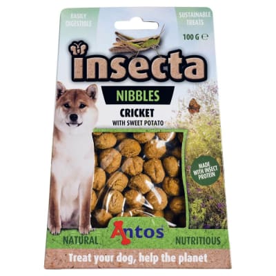 ANTOS INSECTA CRICKET & SWEET POTATO 100 GR1
