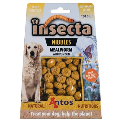 ANTOS INSECTA MEALWORM & PUMKIN 100 GR