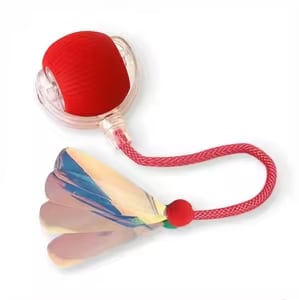 P03 JUGUETE BOLA CON LIBELULA