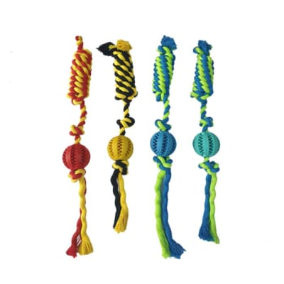 BOLA DIENTES + CUERDA ER0151