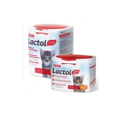 LACTOL GATO LECHE 500 GR
