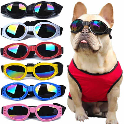 LENTES DE SOL PARA PERRO