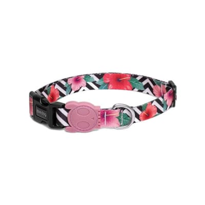 MAHALO COLLAR MEDIUM ZEE DOG
