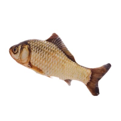 PELUCHE PEZ CARPA M KL-06