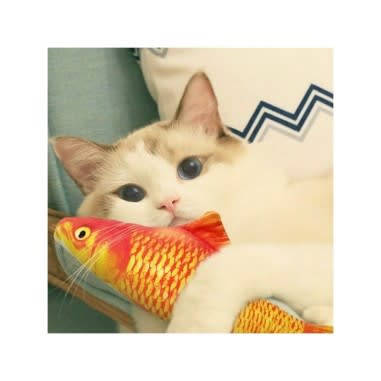 PELUCHE GOLDSISH S KL-01