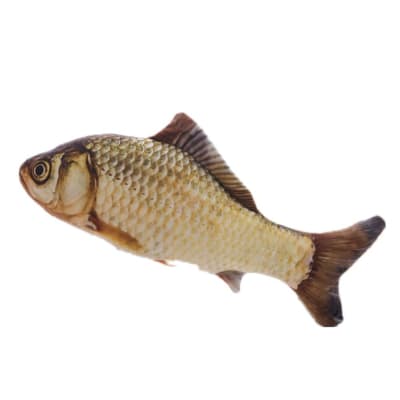 PELUCHE PEZ CARPA L KL-07