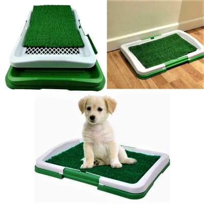 BAÑO PERRO PEQUEÑO PT-1