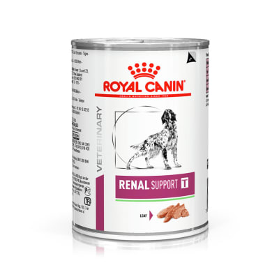 ROYAL CANIN CANINE LATA RENAL 385 GR