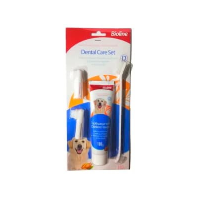SET HIGIENE DENTAL CARNE 2043