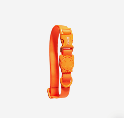 NEOPRO TANGERINE COLLAR MEDIUM1