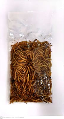 TENEBRIO 25 GR