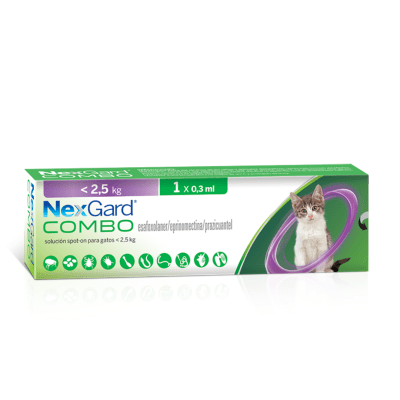 NEXGARD COMBO GATO 0,8 - 2,5 KG1