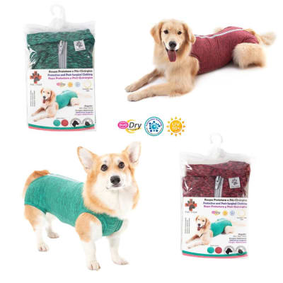ROPA NPQ-PERRO 8V