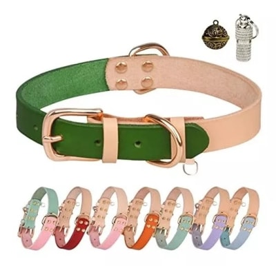 COLLAR CUERO BICOLOR L CL359L1