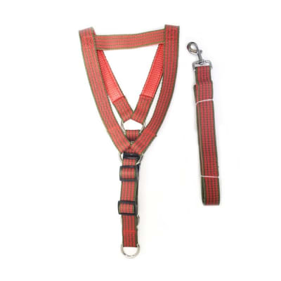 ARNES ACOLCHADO XXL WD053-301