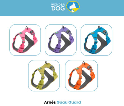 ARNES COLORES XS HH337-XS