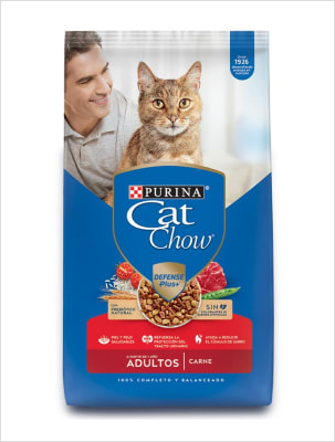 CAT CHOW CARNE 19,5 KG
