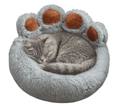 CAMA DISEÑO PATITA 50CM ZX001-50