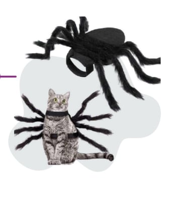 CAPA ARAÑA S DD012881
