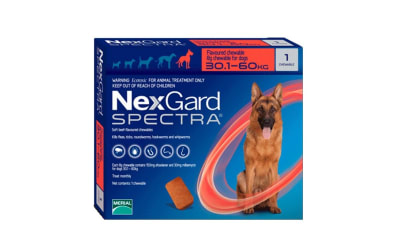 NEXGARD SPECTRA 30,1-60 KG 1 COMP