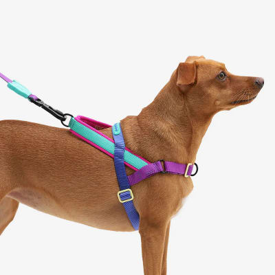 SHOCKWAVE SOFTER WALK HARNESS LARGE1