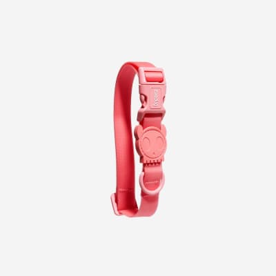 NEOPRO BUBBLEGUM COLLAR SMALL1