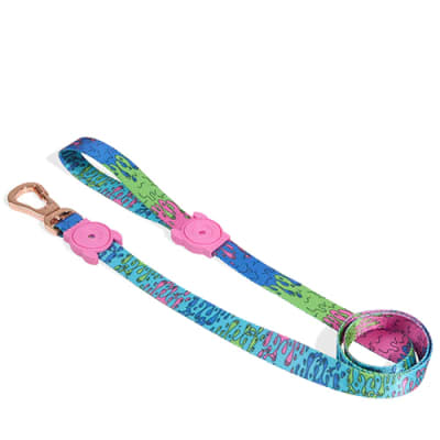 LOZT MELTED LEASH SMALL1