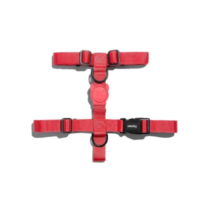 NEON CORAL H-HARNESS SMALL1