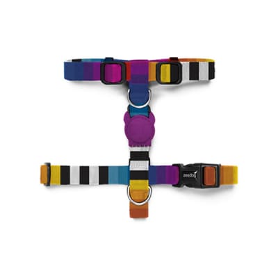 PRISMA H-HARNESS EXTRA SMALL