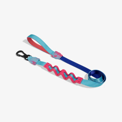 HYDRA RUFF LEASH LARGE1