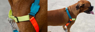 JUMPER SOFT-WALK HARNESS MEDIUM1