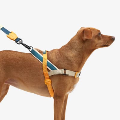 VOYAGE SOFTER WALK HARNESS LARGE1