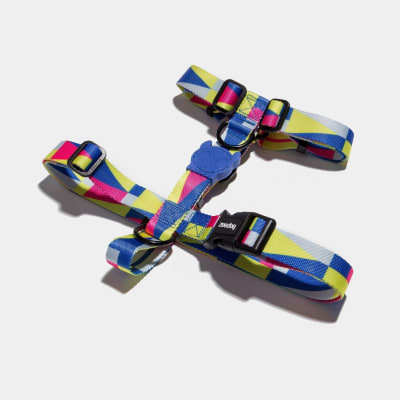 VOLT H-HARNESS SMALL1