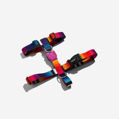 PRISMA H-HARNESS SMALL1