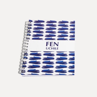 CUADERNO FEN PINCELADAS