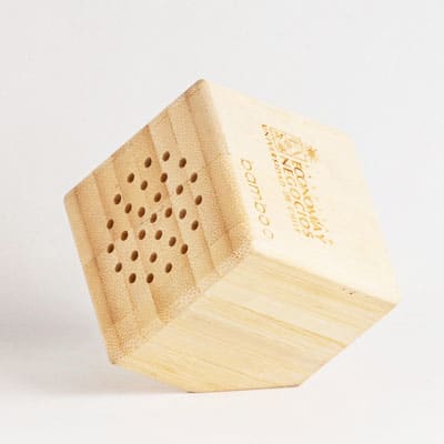 PARLANTE BAMBOO