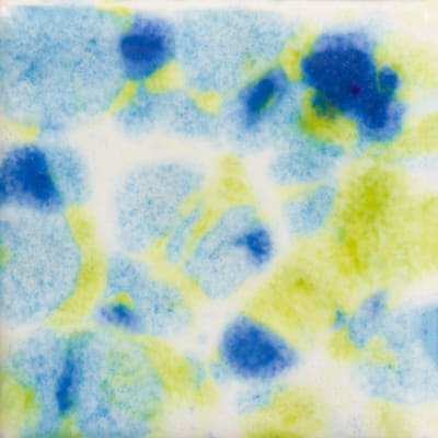 CG-1001 GOGH IRIS